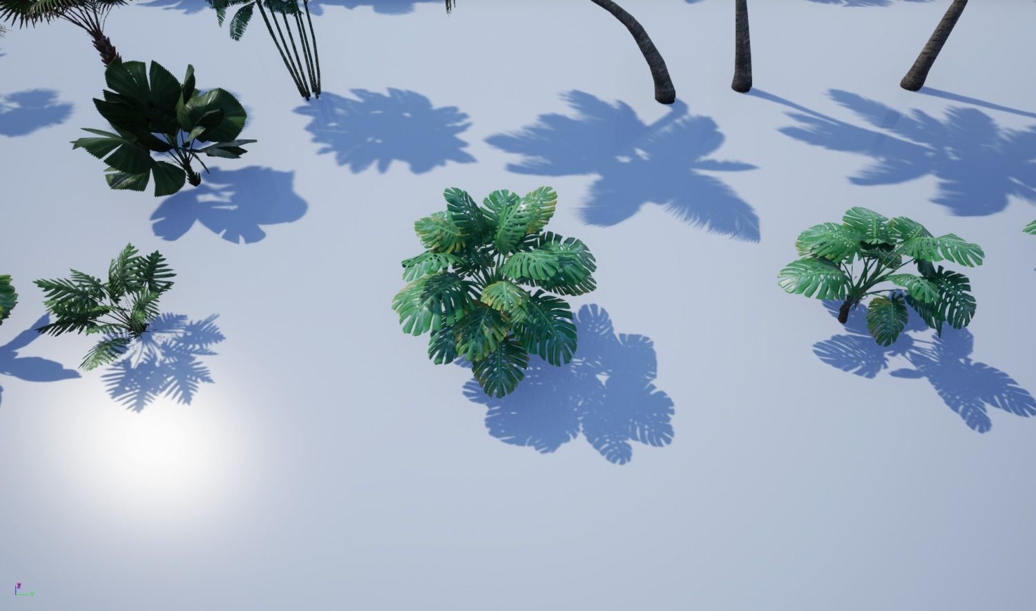 tropical forest pack for game ready Low-poly 3D model_11