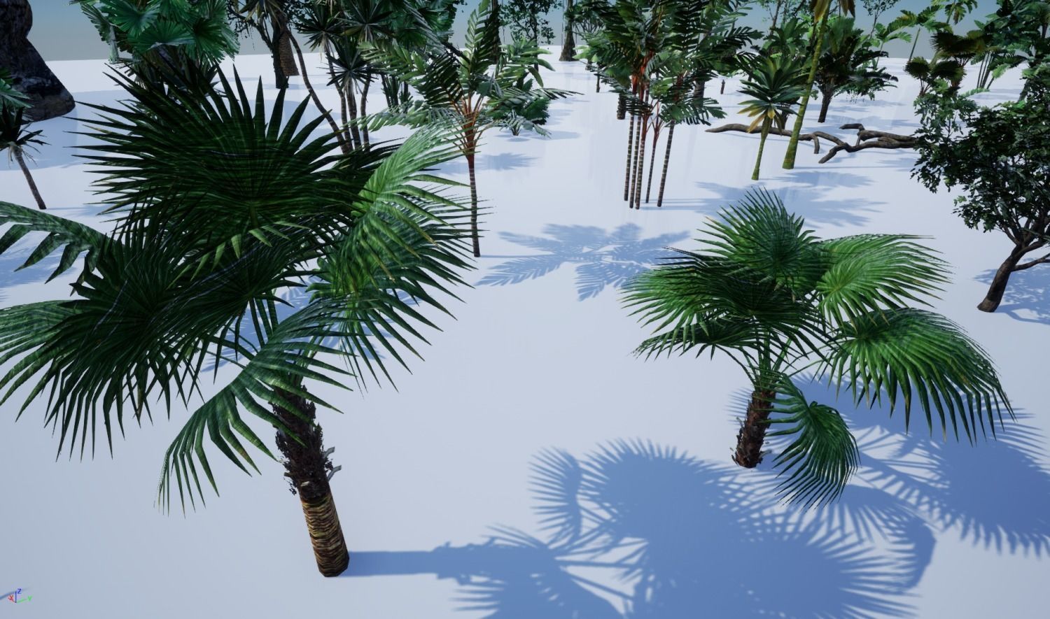 tropical forest pack for game ready Low-poly 3D model_32