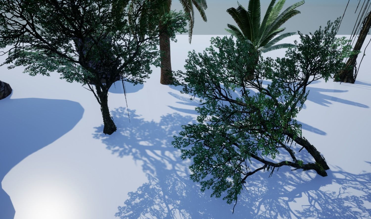 tropical forest pack for game ready Low-poly 3D model_27