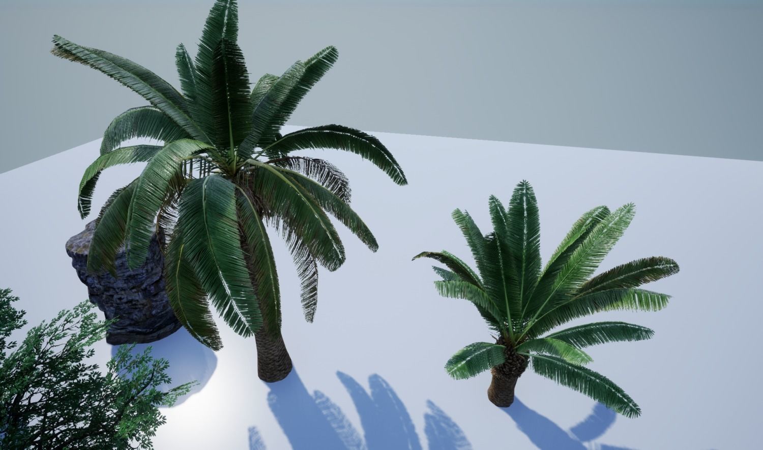 tropical forest pack for game ready Low-poly 3D model_28