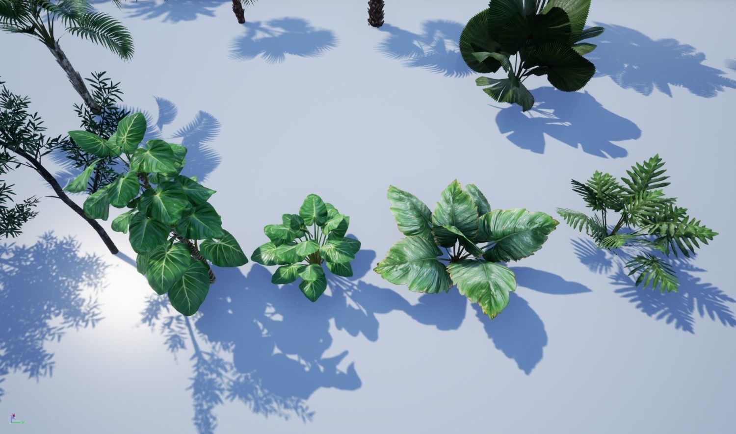 tropical forest pack for game ready Low-poly 3D model_36