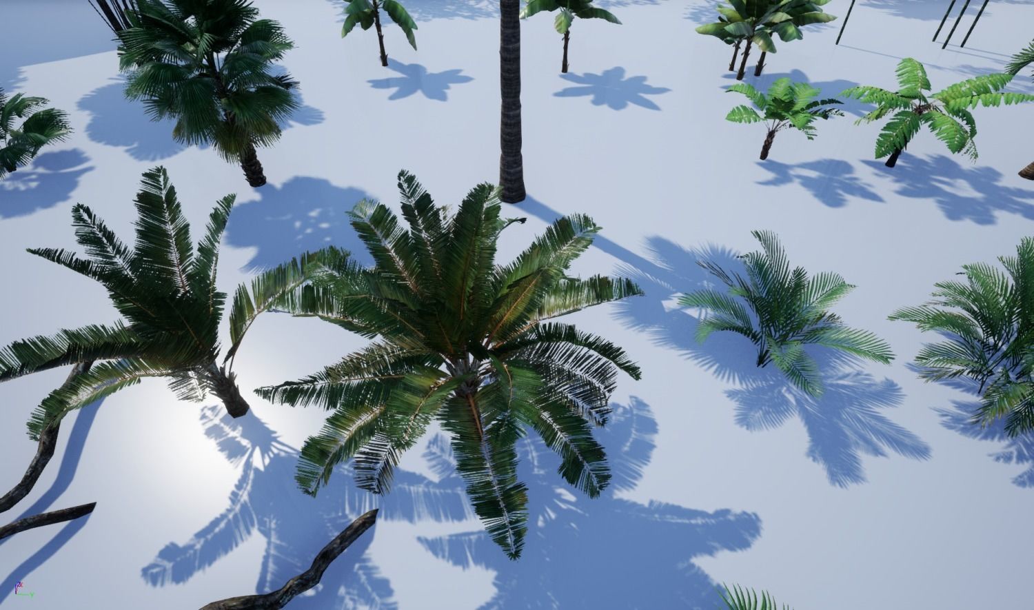 tropical forest pack for game ready Low-poly 3D model_16