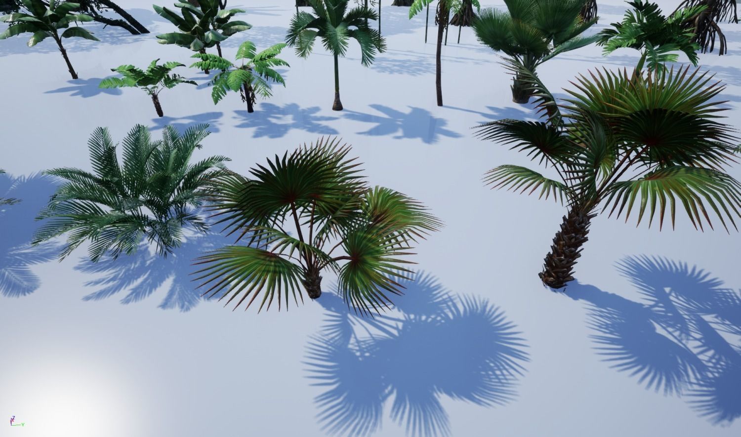 tropical forest pack for game ready Low-poly 3D model_15