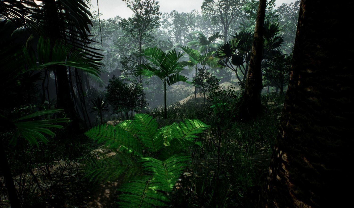 tropical forest pack for game ready Low-poly 3D model_10