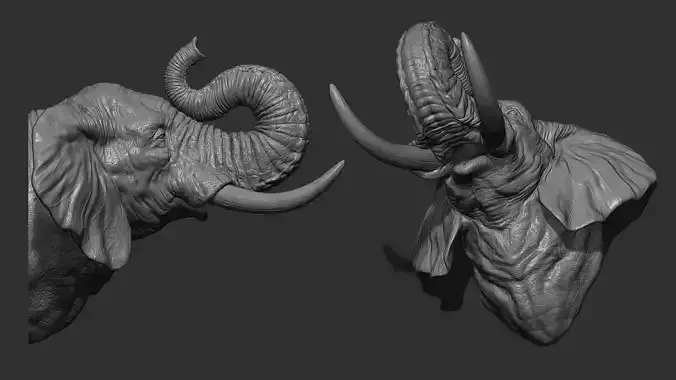 Elephant raised its trunk 3D print model