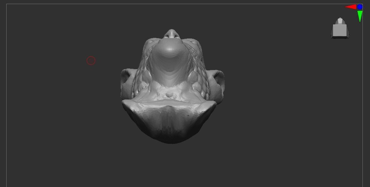 Beast Head 3D model_9