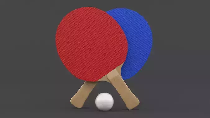 Table Tennis Rackets