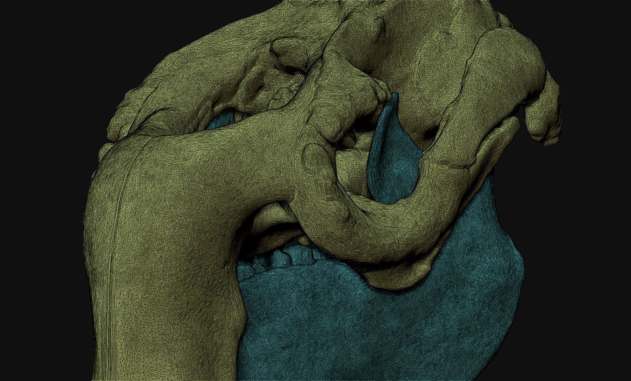 Manati - Trichechus - Skull - CNC and 3D print model_3