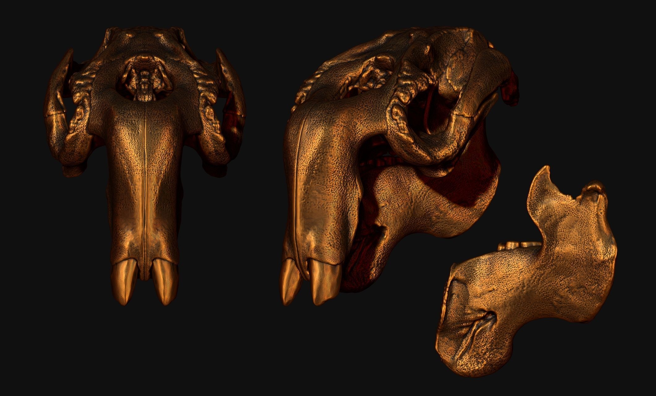 Manati - Trichechus - Skull - CNC and 3D print model_21