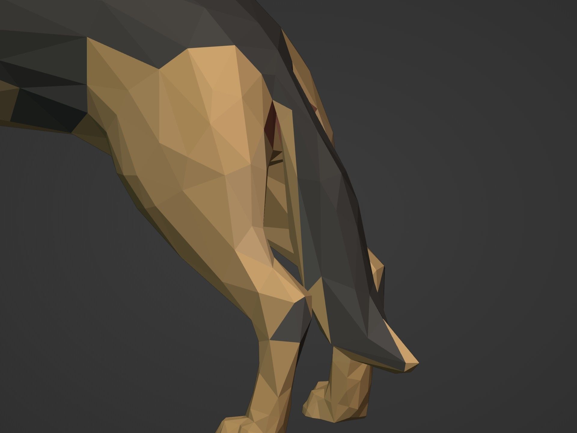 Low Poly Dog - German Shepherd Low-poly 3D model_23
