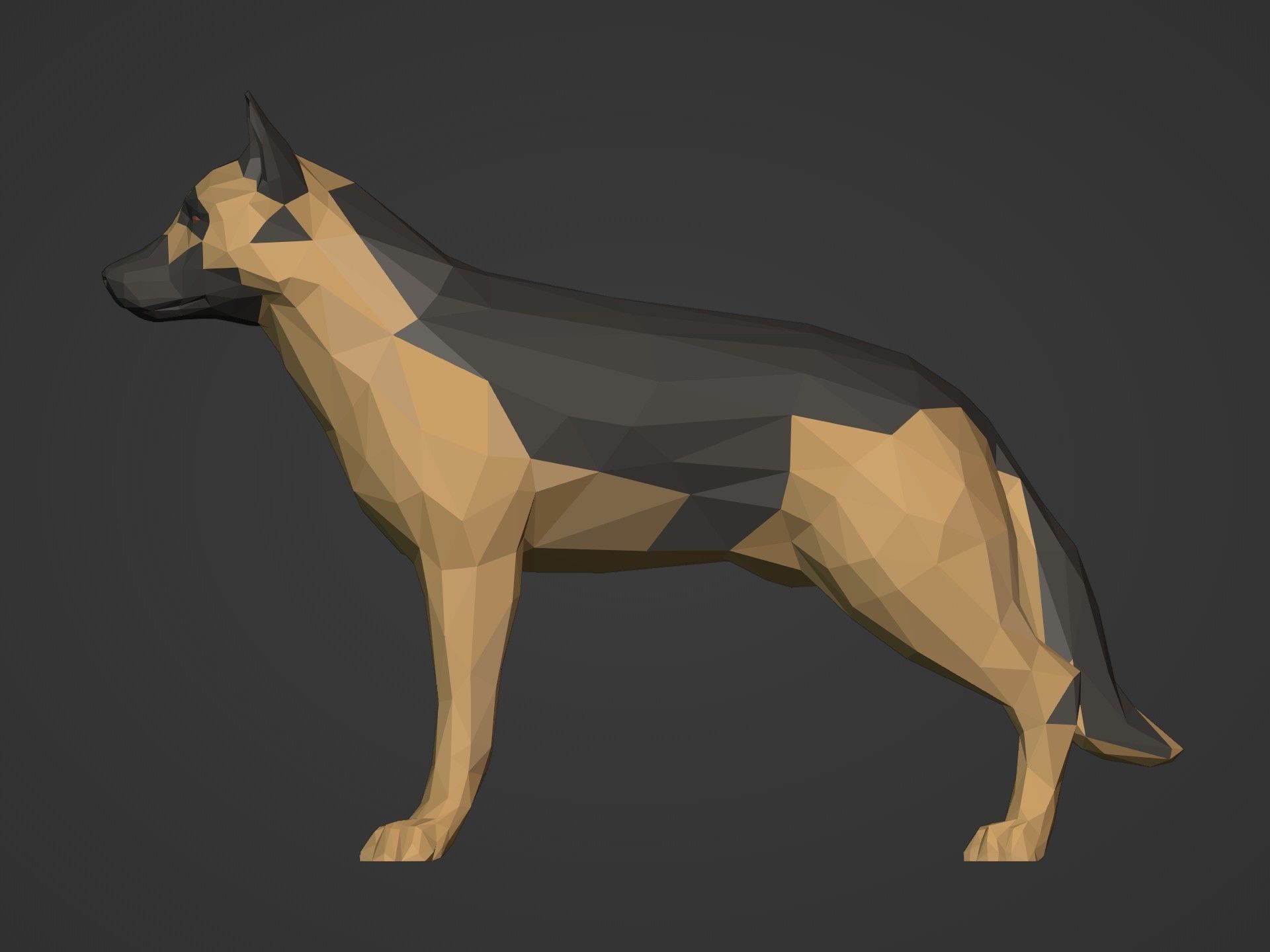 Low Poly Dog - German Shepherd Low-poly 3D model_7