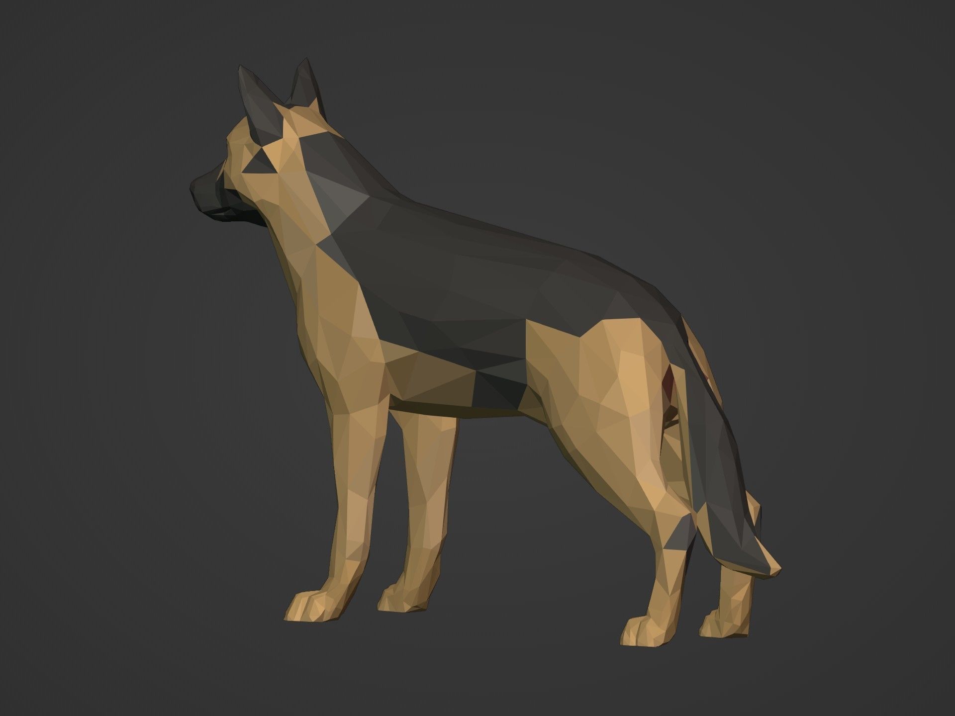 Low Poly Dog - German Shepherd Low-poly 3D model_11