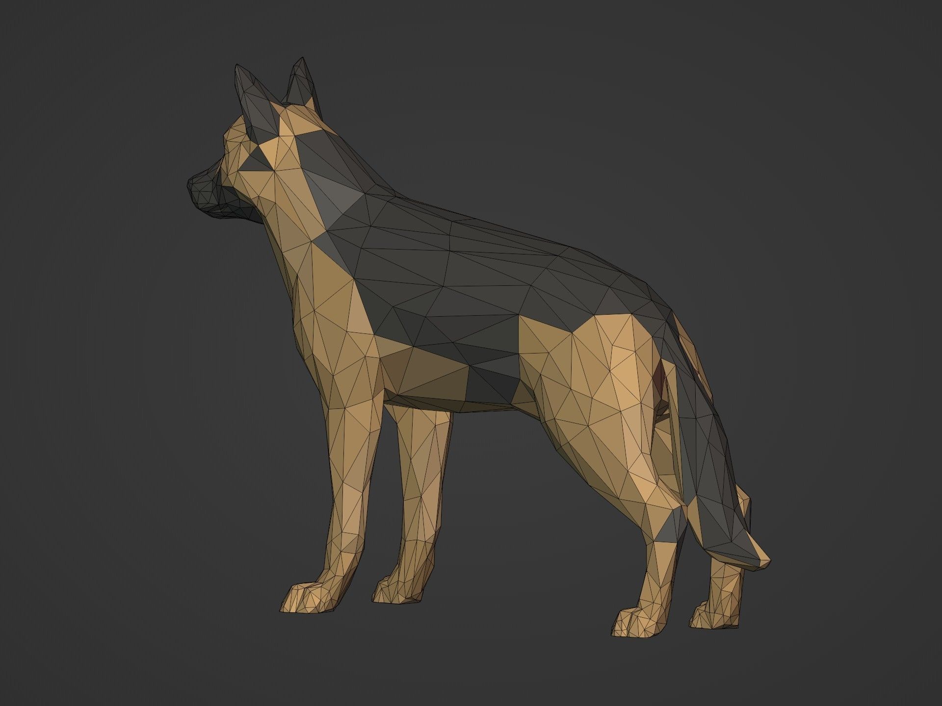 Low Poly Dog - German Shepherd Low-poly 3D model_12