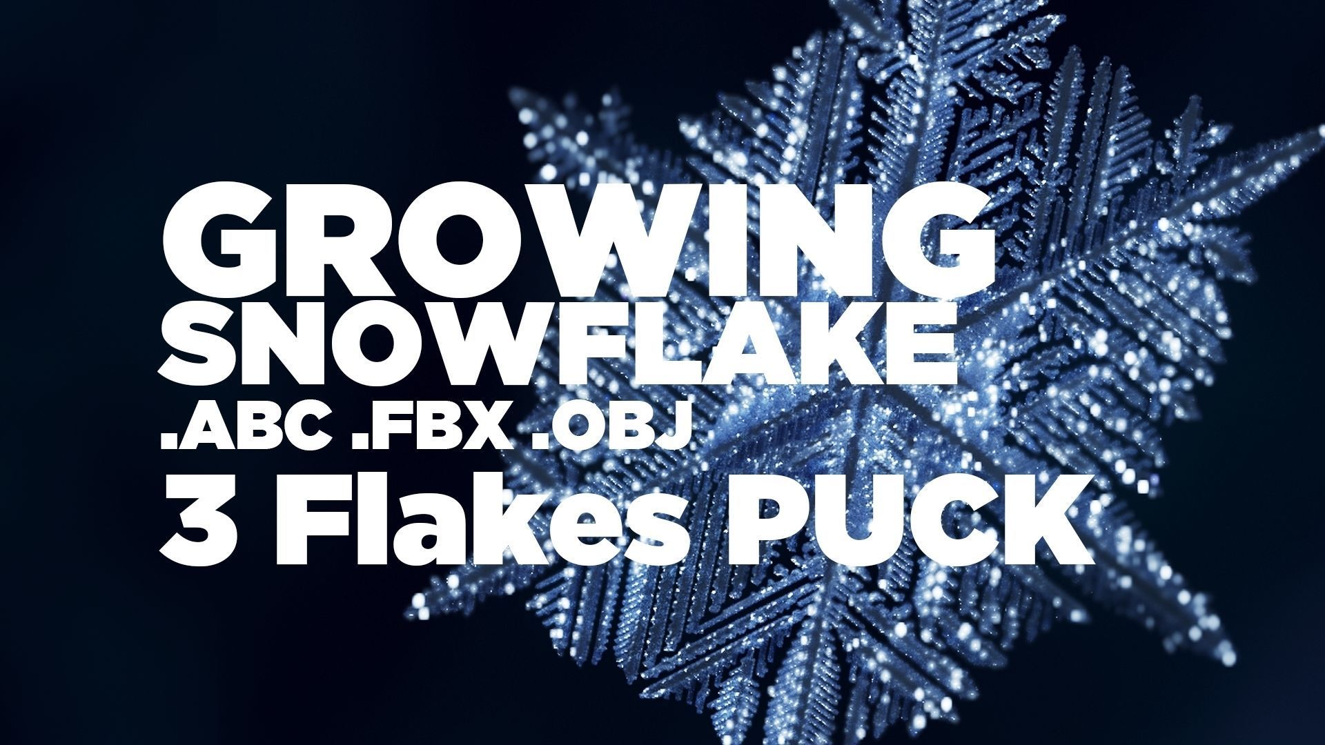 Snowflake PACK growing animation with blender file 3D Model Collection_3