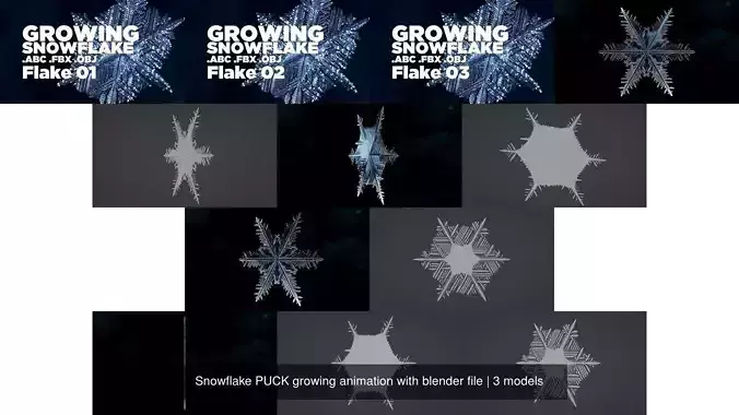 Snowflake PACK growing animation with blender file 3D Model Collection
