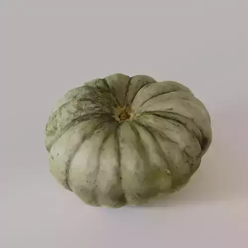 0002Pumpkin3g2stzvp
