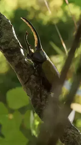 Hercules Beetle Low-poly 3D model