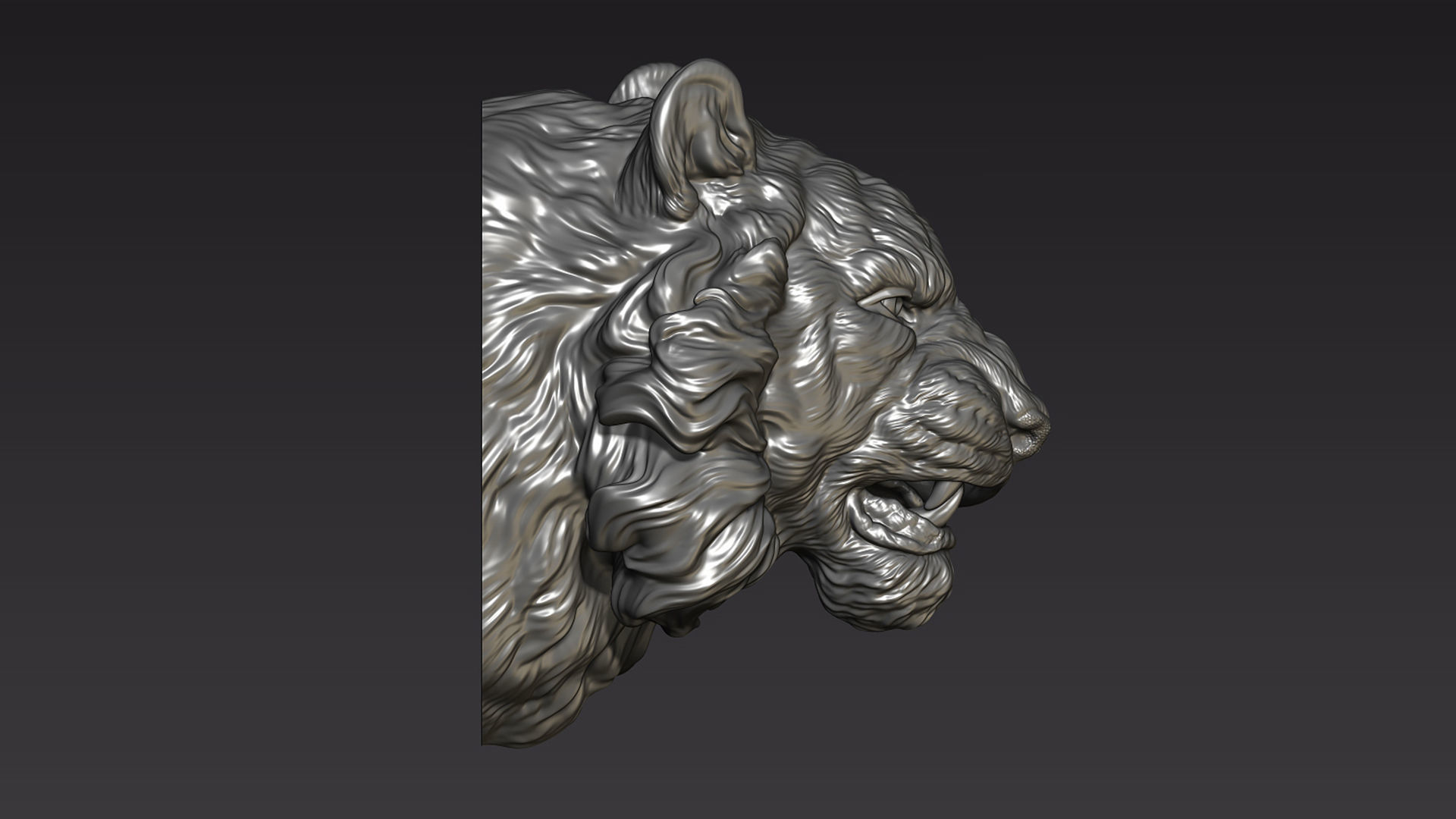 Tiger head shaggy 3D print model_7