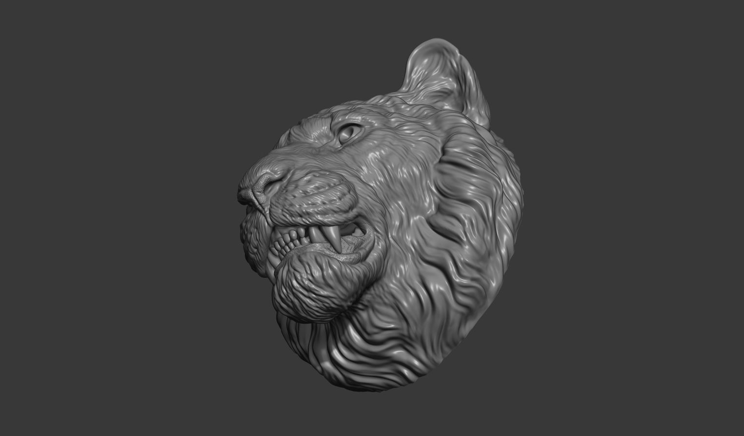 Tiger toothy 3D print model_6