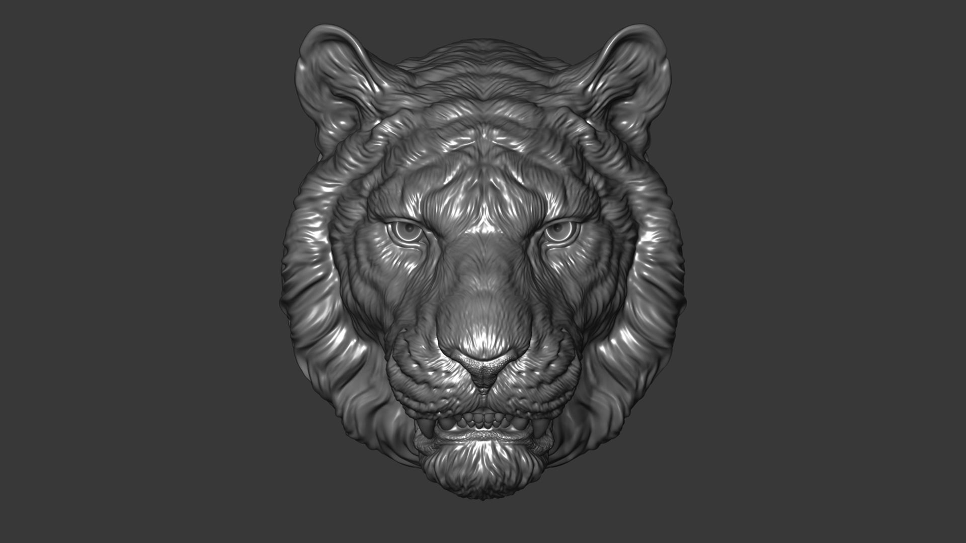 Tiger toothy 3D print model_12