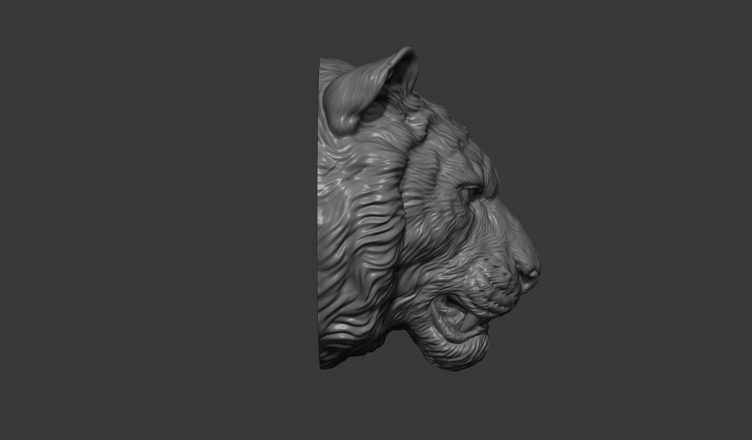 Tiger toothy 3D print model_3