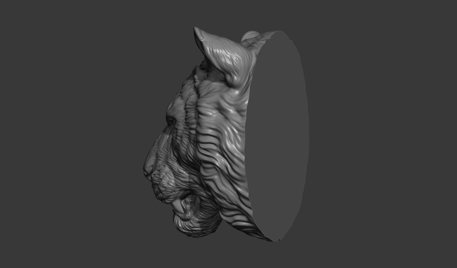 Tiger toothy 3D print model_4