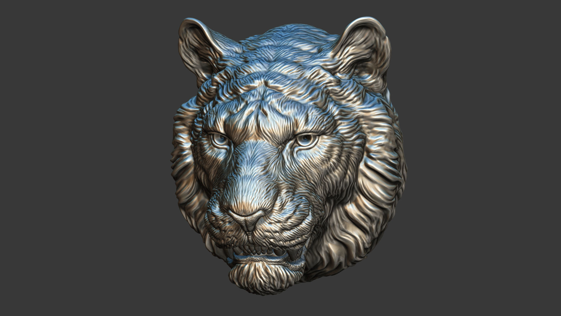 Tiger toothy 3D print model_10