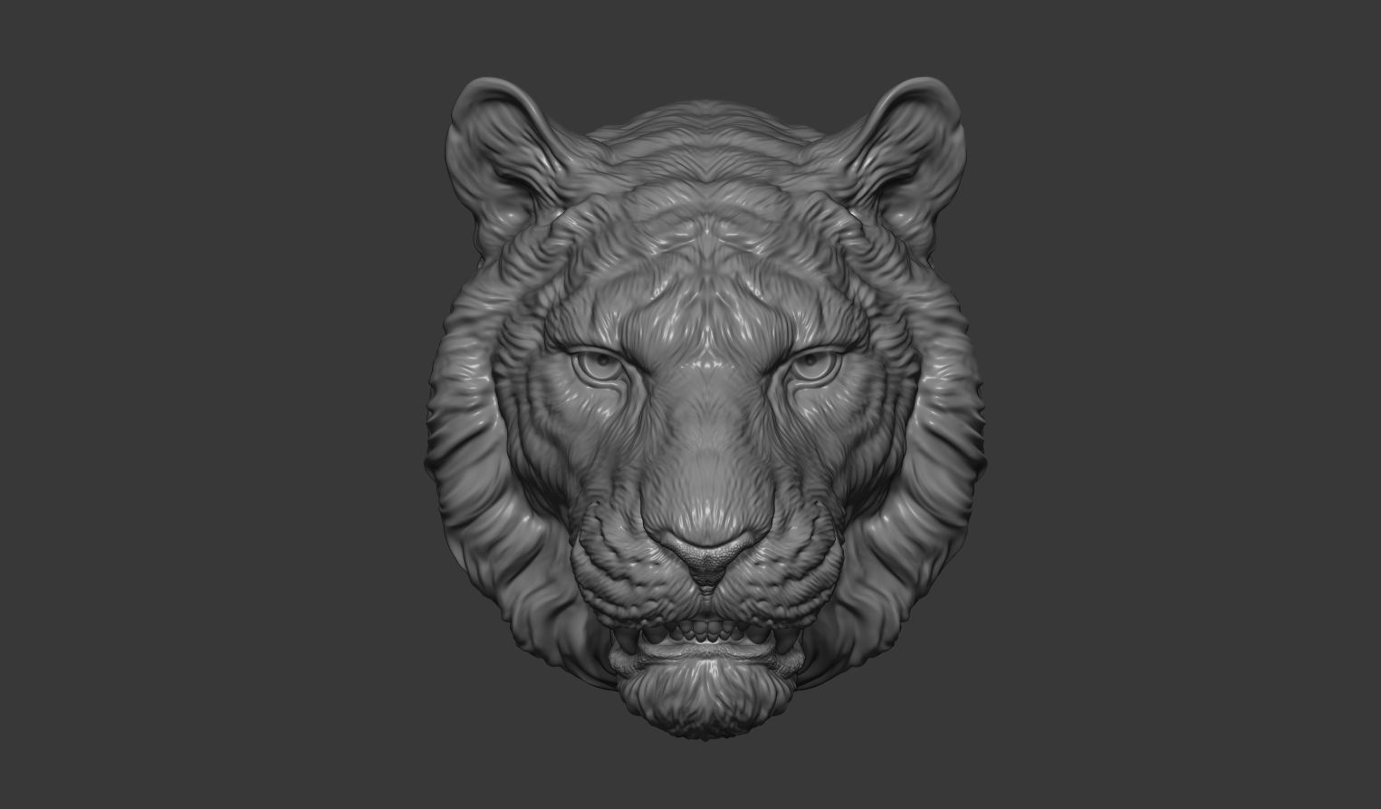 Tiger toothy 3D print model_1