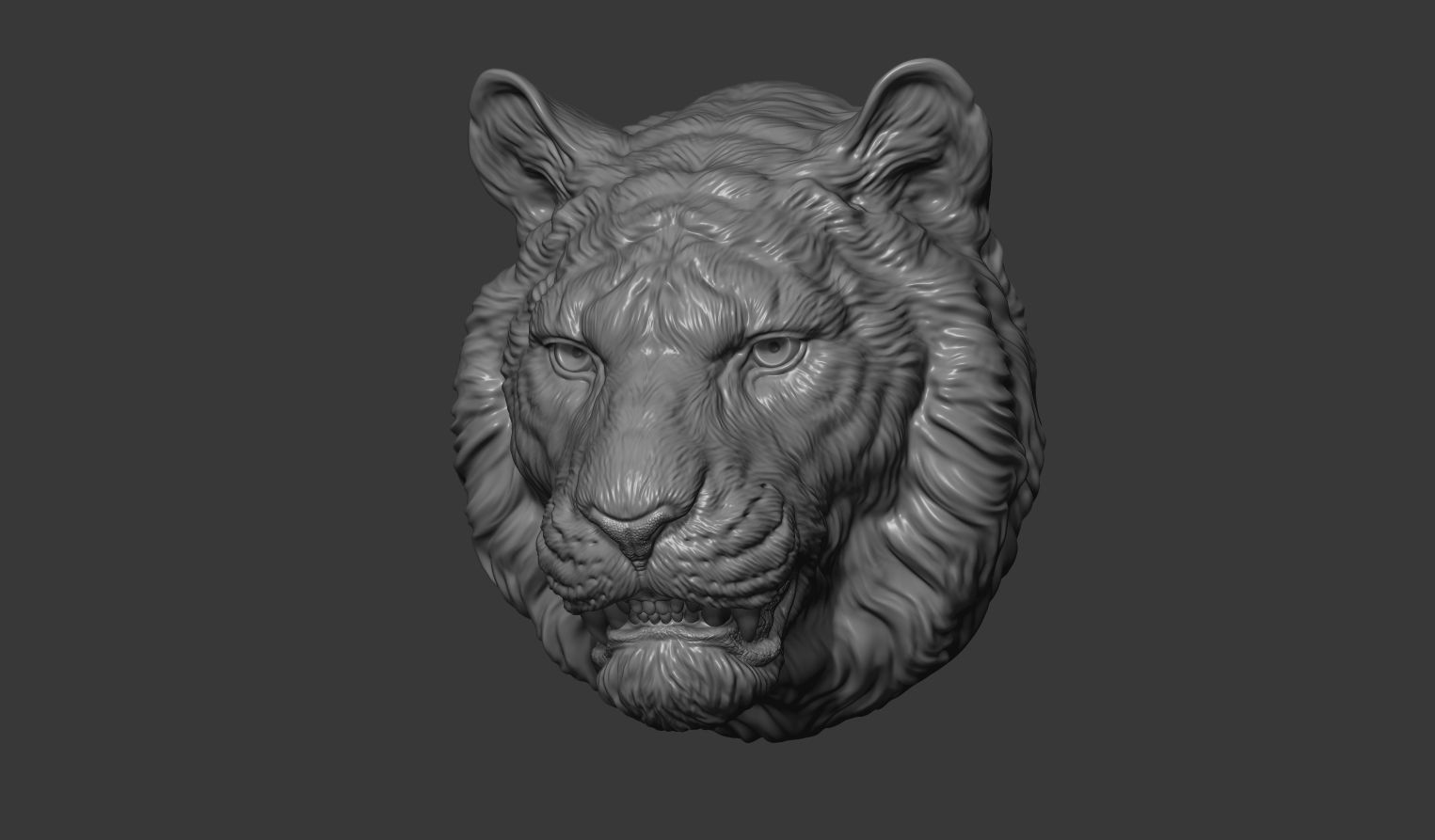 Tiger toothy 3D print model_2