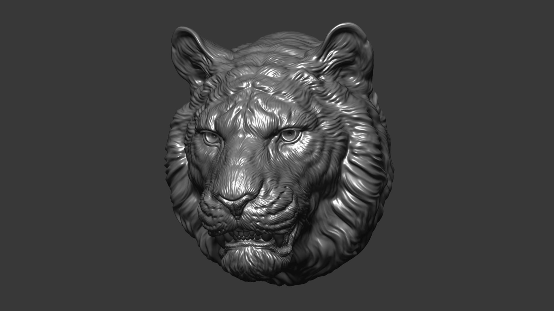 Tiger toothy 3D print model_11