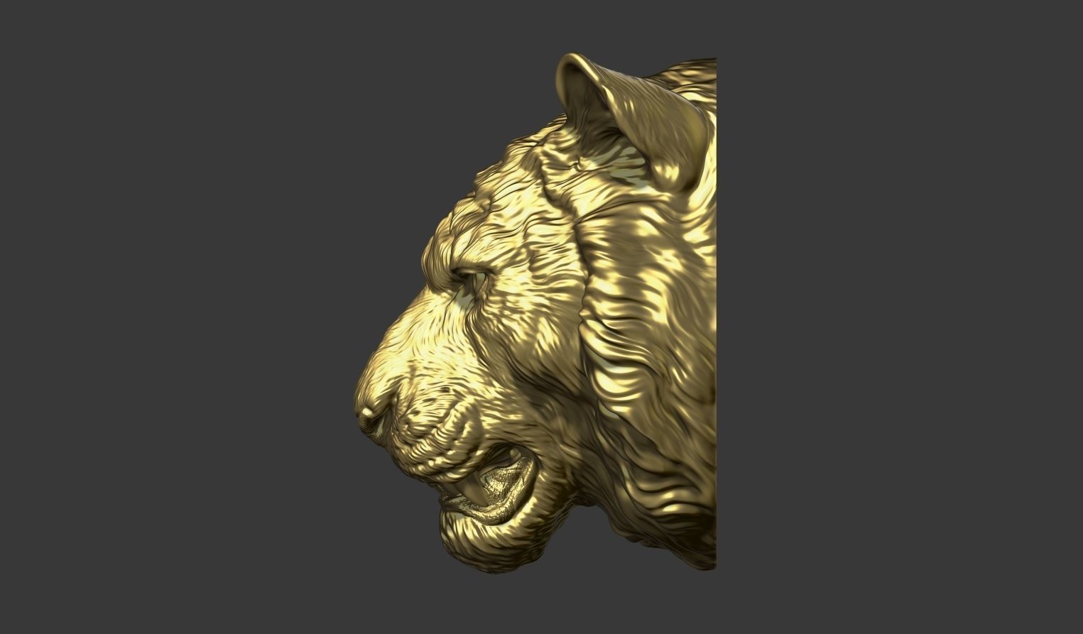 Tiger toothy 3D print model_8