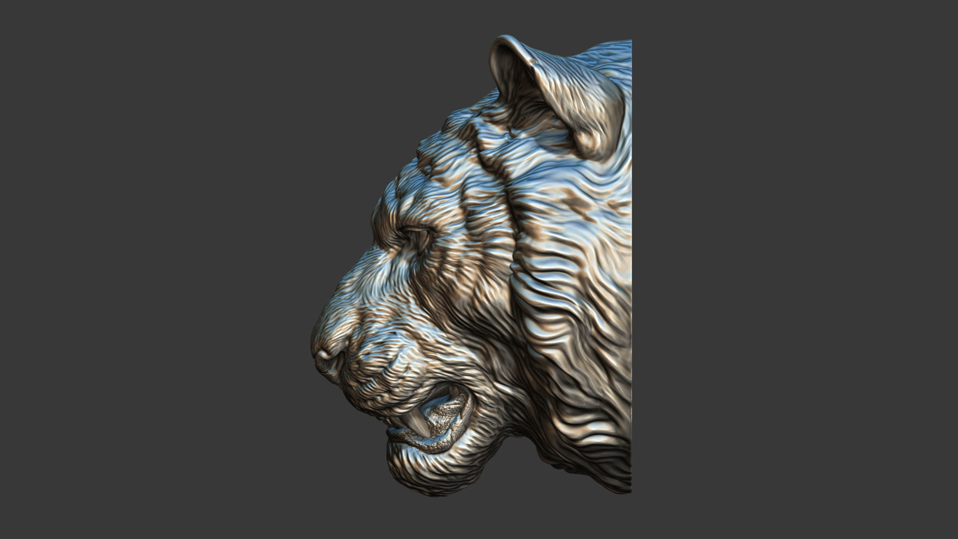Tiger toothy 3D print model_9