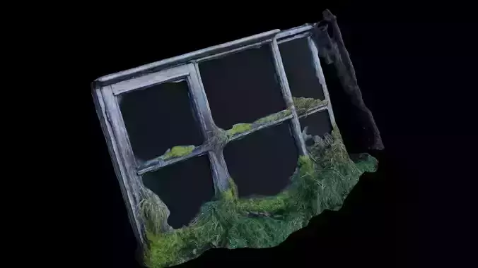 4K Old Overgrown Wooden Window Frame Photoscan Low-poly 3D model