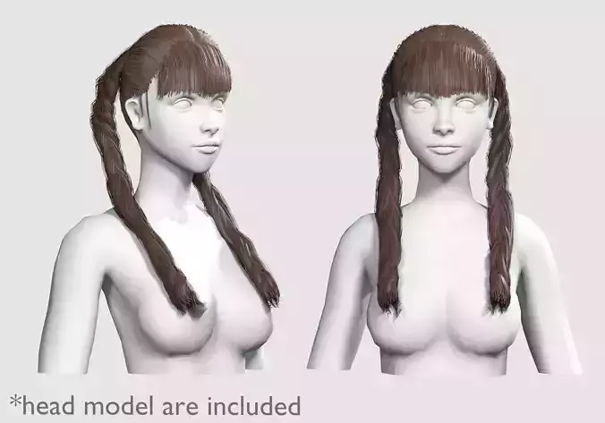 Bangs Braids Hairstyle V14579
