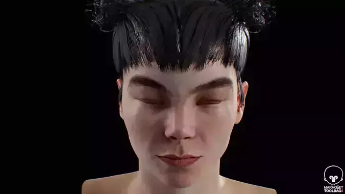Bjork 1995 renderable Blend Shapes