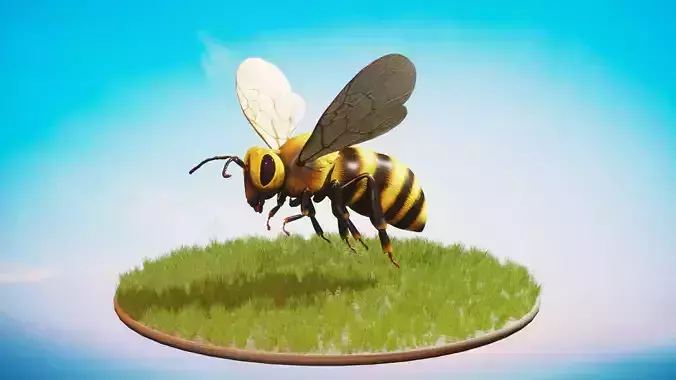 Honey Bee Animated Rigged  Low-poly 3D model