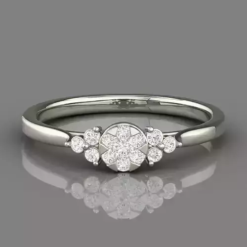 PRESSURE SETTING RING 12