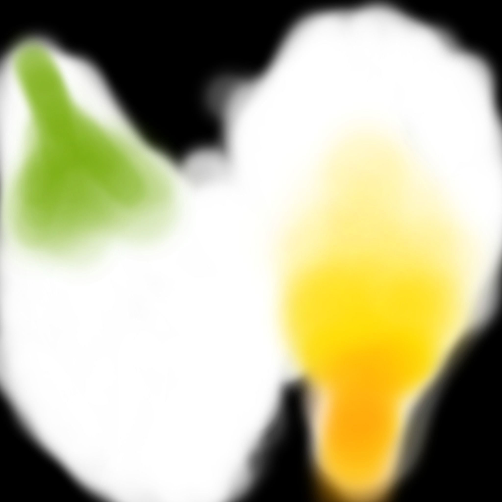 CHAMPA FLOWER 3D model_4