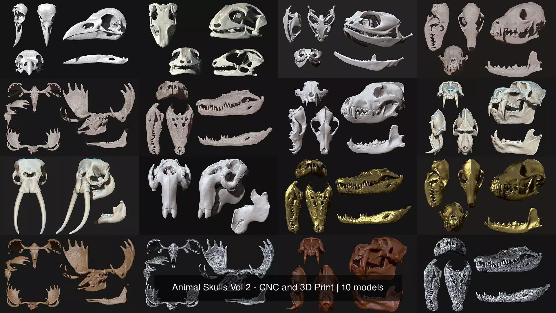 Animal Skulls Vol 2 - CNC and 3D Print 3D Model Collection_0