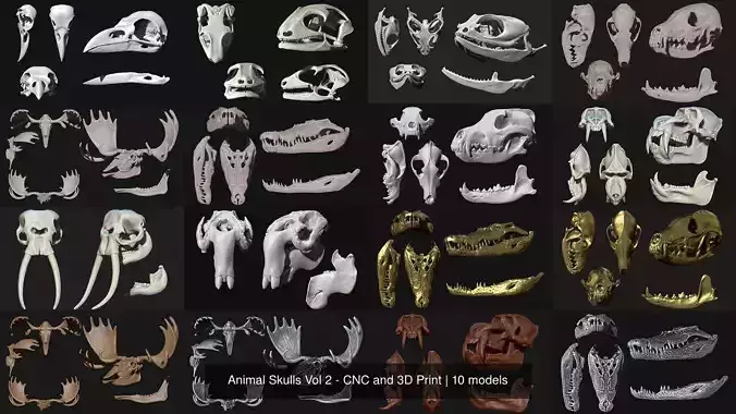 Animal Skulls Vol 2 - CNC and 3D Print 3D Model Collection
