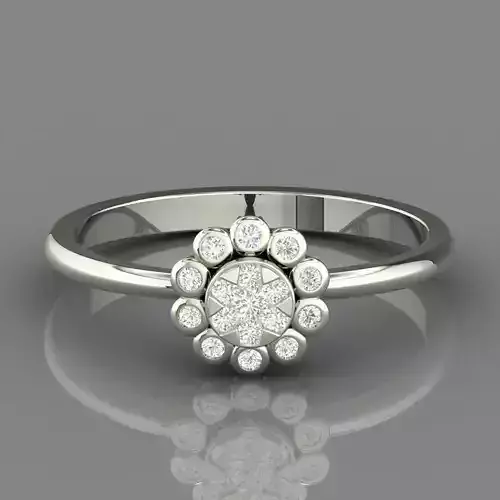 PRESSURE SETTING RING 17