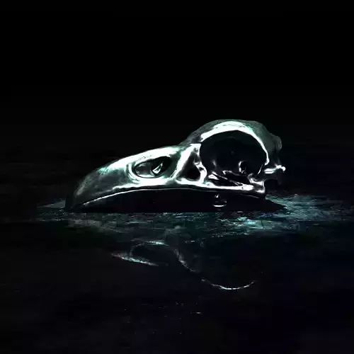 Anatomically Correct Raven Bird Skull - 3D Printable Model 3D print model