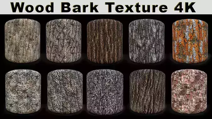 Wood Bark Texture 4K Texture
