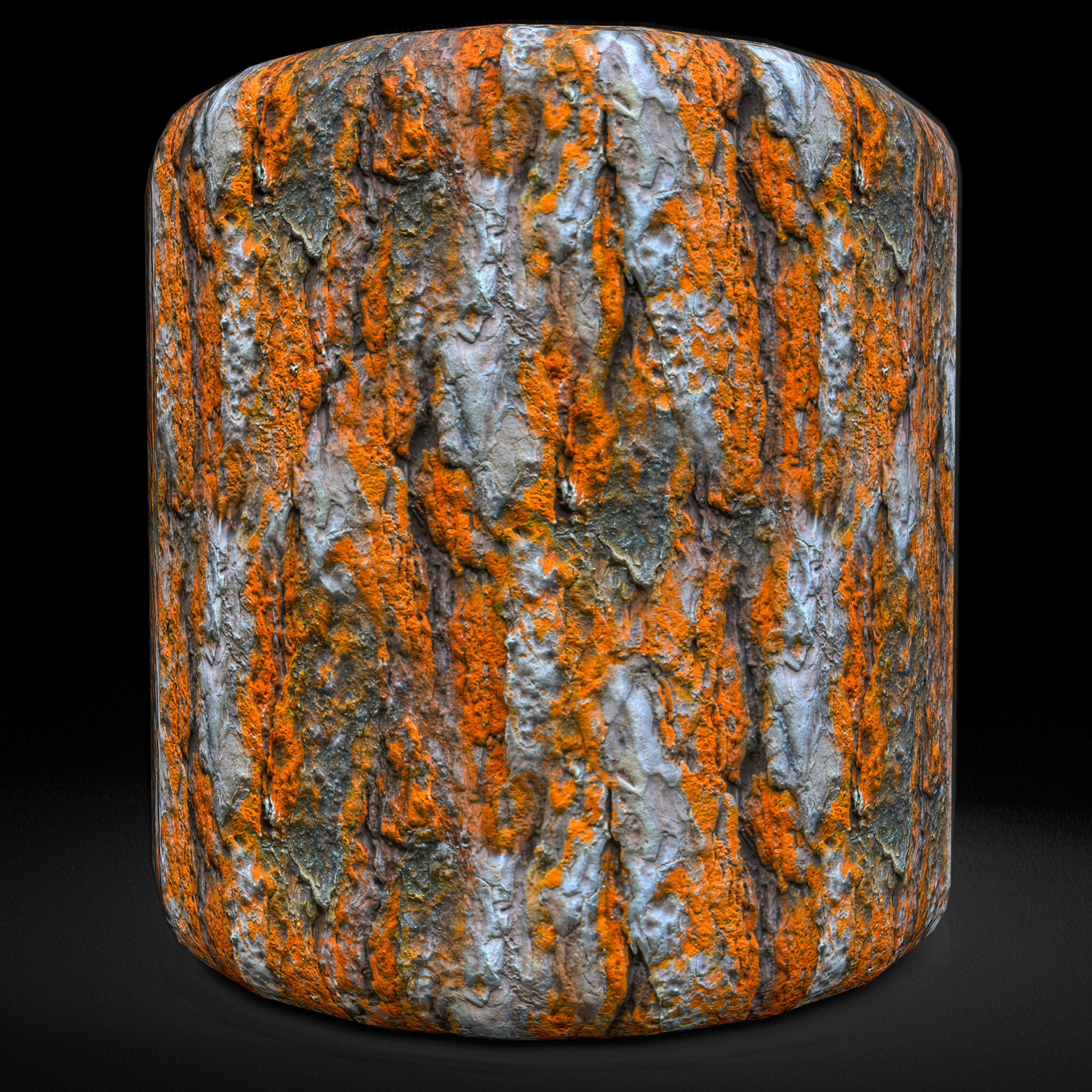 Wood Bark Texture 4K Texture_10