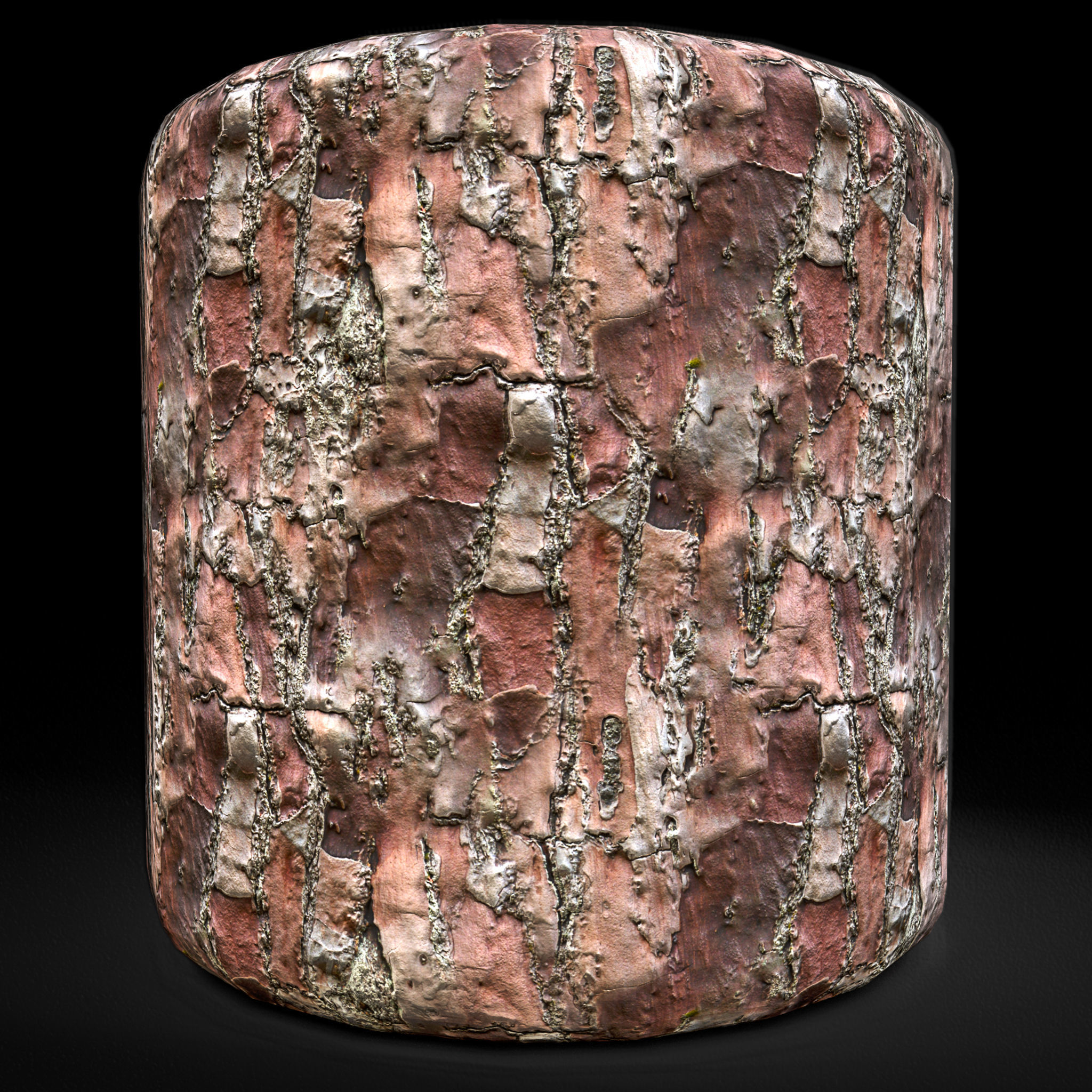 Wood Bark Texture 4K Texture_4