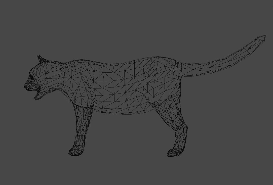 Heterochromia Cat Rigged Low-poly 3D model_9