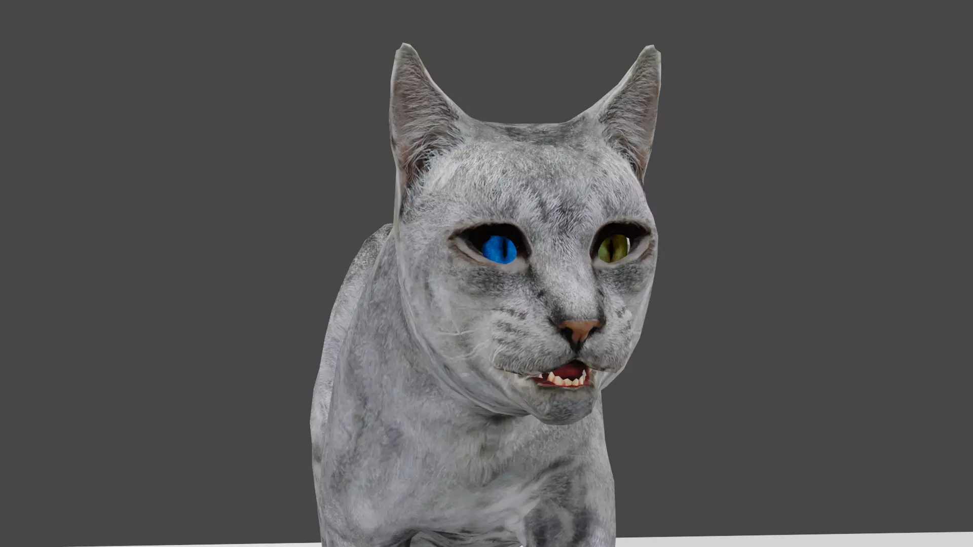 Heterochromia Cat Rigged Low-poly 3D model_0