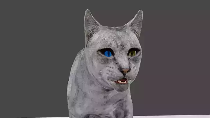 Heterochromia Cat Rigged