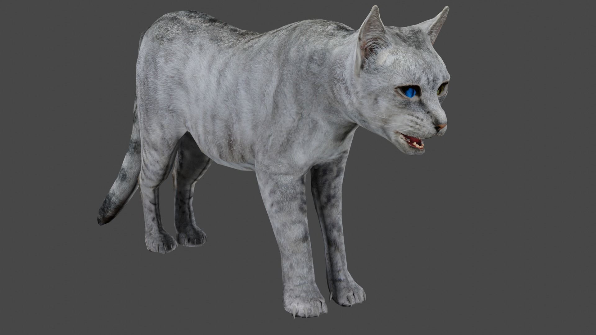 Heterochromia Cat Rigged Low-poly 3D model_1
