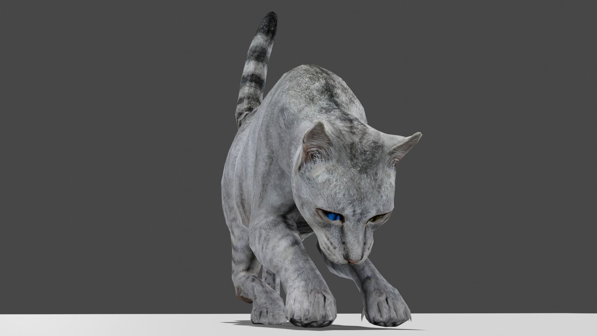 Heterochromia Cat Rigged Low-poly 3D model_18